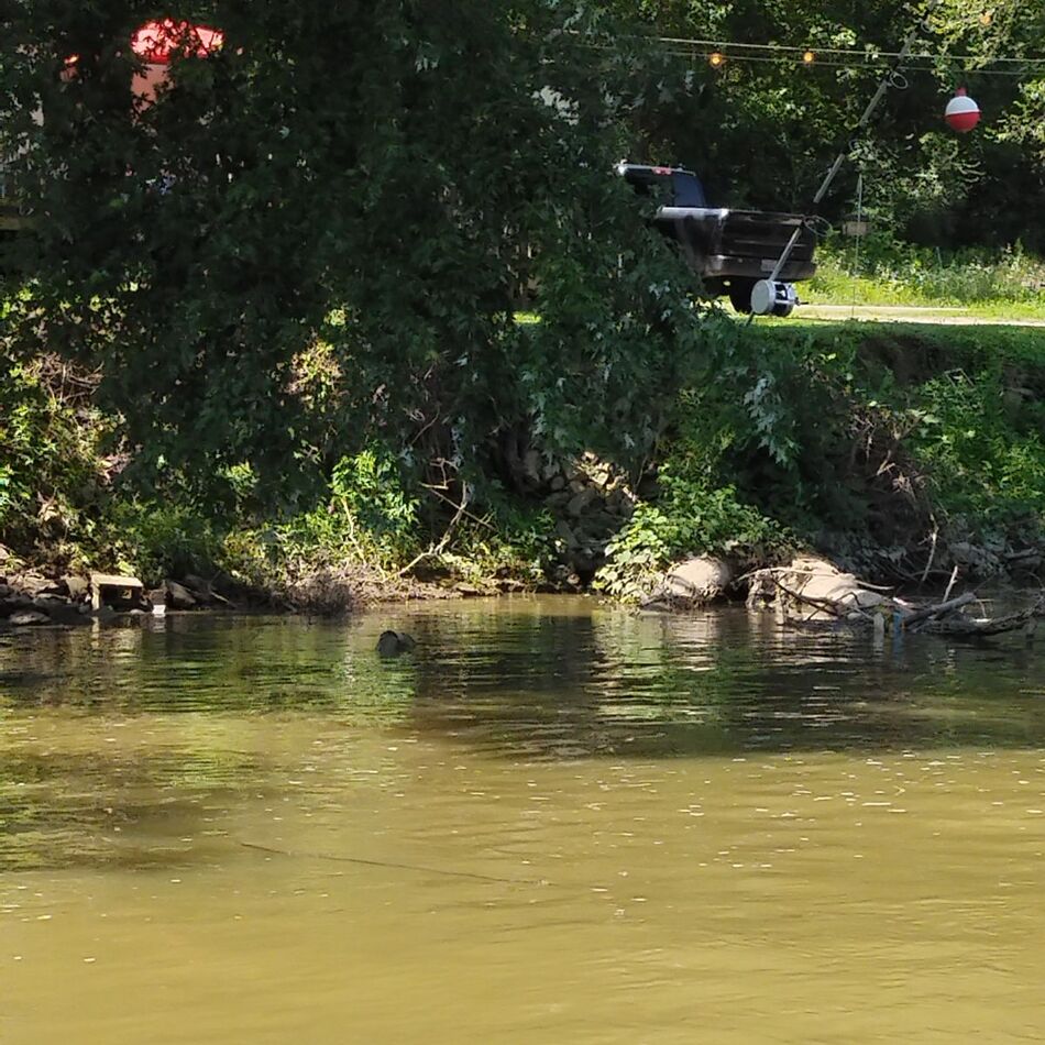 Pontoon trip on the mighty Muskingum river 8 adults an a 5 year old