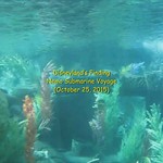 Disneyland&rsquo;s Finding Nemo Submarine Voyage (October 25, 2015)
