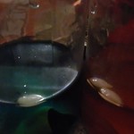 Magickal Baby - short film movie - outtakes - Central Park NYC - November 7th 2020