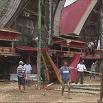 Indonesia - Sulawesi - Tana Toraja - Second Funeral in Bori - Part 5 - asienman-video