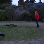 Ruthin, Denbighshire, Wales.