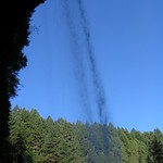 Oregon 2005 group 2 018