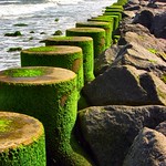 sea wall @ fort fisher