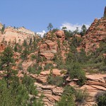 Zion-Mount Carmel Highway, Zion National Park, Utah