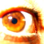 eye