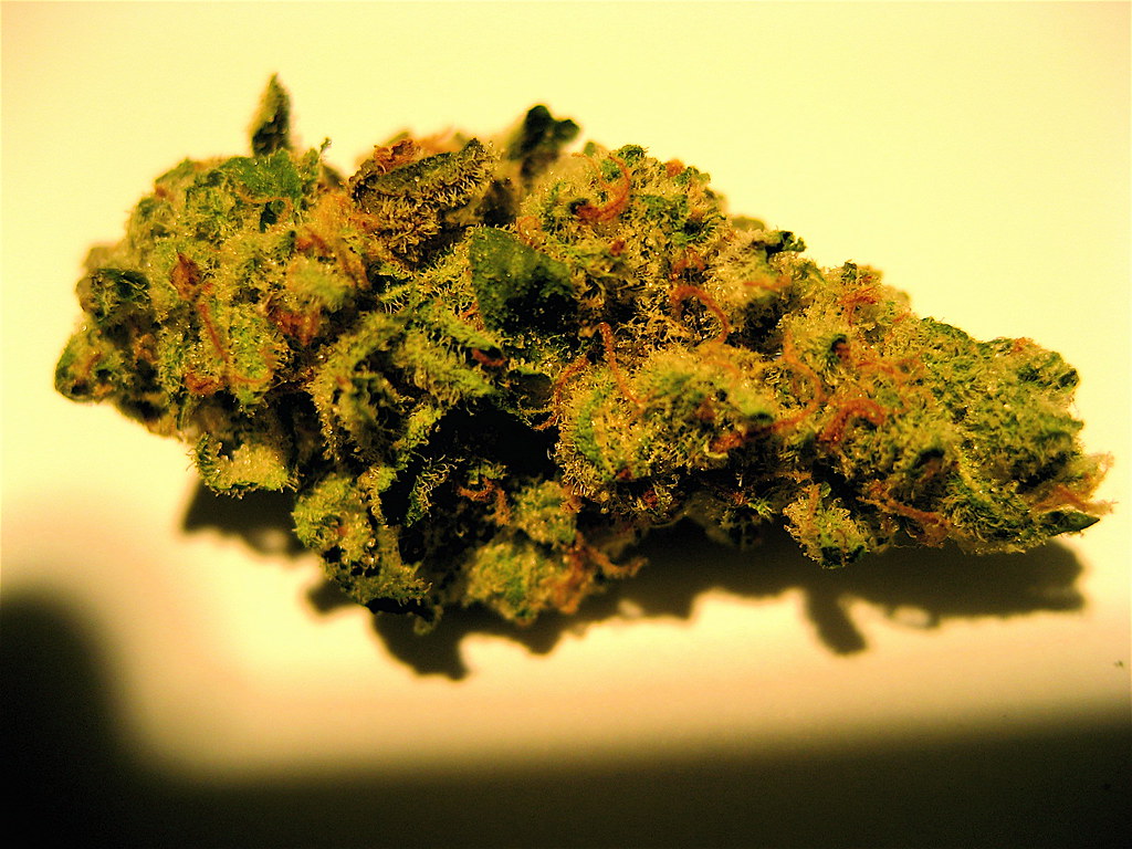 My nugs. Candy Apple