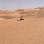 25-in den D&uuml;nen