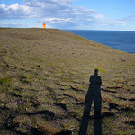 Kr&yacute;suv&iacute;kurviti