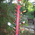 PVC bottle tree