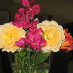 flowers indoor with portrait set