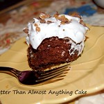 Better Than Almost Anything Cake
