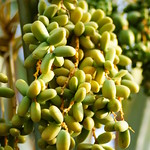 dates...ExPLoRe #187