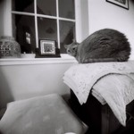 Does my bum look big in this?