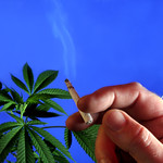 ...isn't nature wonderful ?