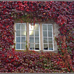 View from the Lake District