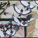 Last Hurrah for Street Art