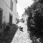 Castelo de Vide (3)- Junho 2011