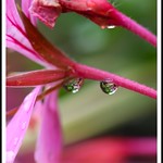 Just the two of us ~