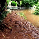 Warwick - Flooded path - Saxon mill