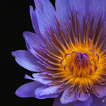 Blue Fire 1 - Ka'anapali, Maui