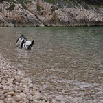 Wilson testing the water temperature