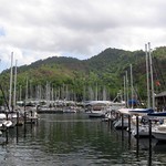 The Marina