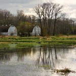 Nisqually Wildlife Refuge