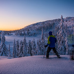 Walk into winter wonderland