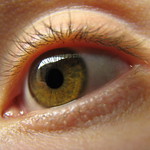 eye
