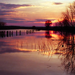 a fleeting moment, frozen in time