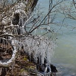 Icy Spring