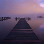 Piering at the Fog