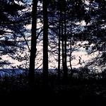 Silhouttes. CCphotoworks.com