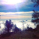 1/25/2016 Mount Diablo