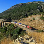 2014-09-22 - TR - Hacıkırı