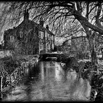 c a n u t e ~ s t r e a m