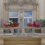 Window box