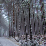 Feliz a&ntilde;o 2016 - Happy new year