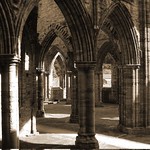Forest of stone, Tintern Abbey, Monmouthshire