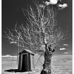 Ghost Town , Sharples, Alberta