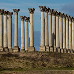 National Capitol Columns at the National Arboretum