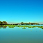 Bluest Blue of my life............................DSC_5692 copy