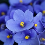 Happy Easter to all my Flickr Friends.:)