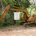 After deferment: joyous announcement!