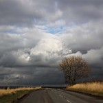 Oh, the lonely moors