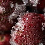 Icy strawberry #3