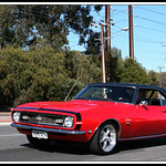 Bay to Birdwood (2015): SS 350