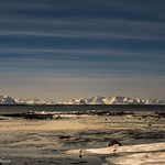 Lofoten