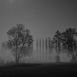 B&auml;ume bei Nacht und Nebel