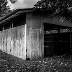 Abandoned Shed